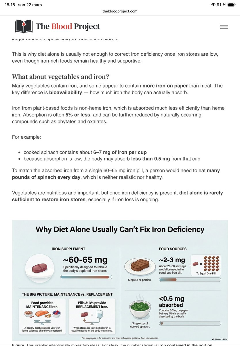 DEN VILDA KATTEN tweet media