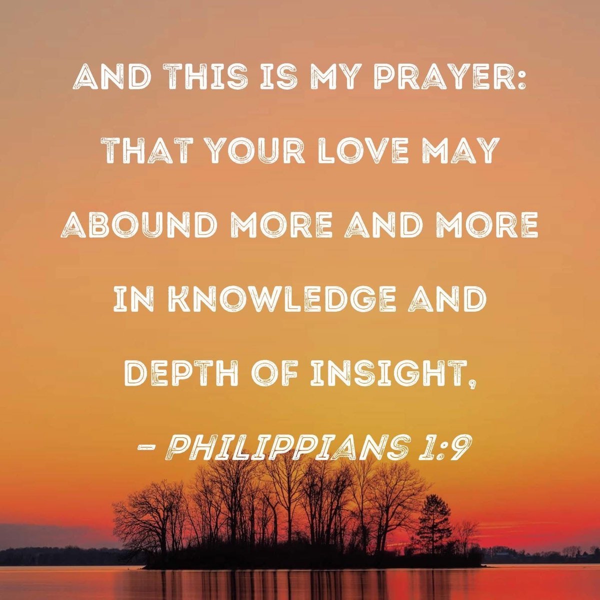 Cody Libolt tweet media