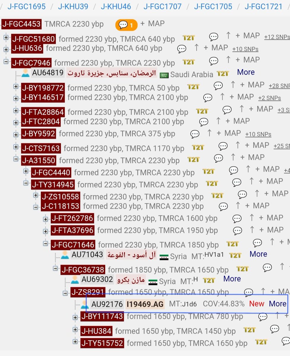 تم رفع العينه السادسه أسفل التحور القحطاني J1-FGC1695 من دراسة أكبري وأخرون 2026
من نصيب الفرع J1-ZS8291 المنحدر من تحور ربيعة الفرس J1-FGC4453 المنحدر من تحور حلفاء قريش ومعد J1-FGC1721

ونعتقد انه العينه من جنوب شرق تركيا أو من بلادالشام وقد تكون من شمال العراق
ننتظر التأكيدات
