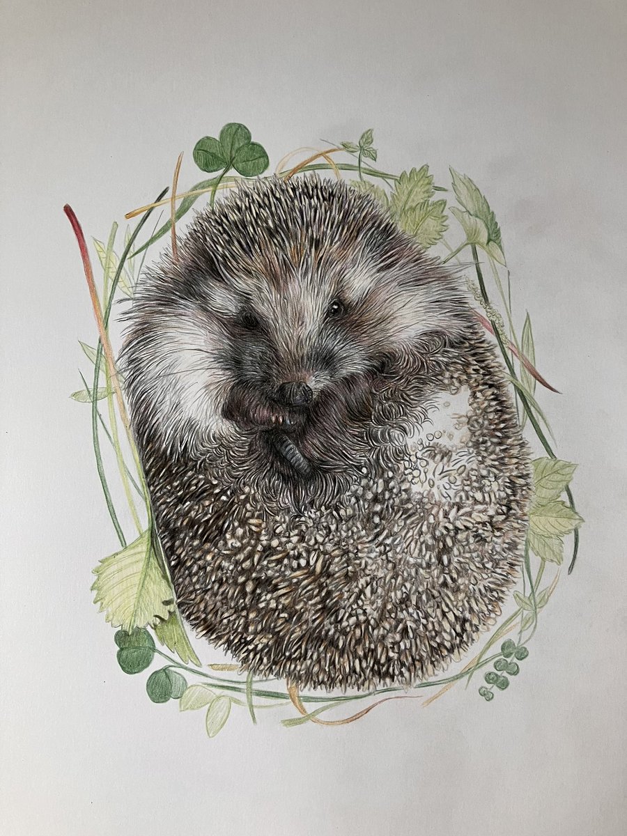 Lisa Wellwood Artist tweet media