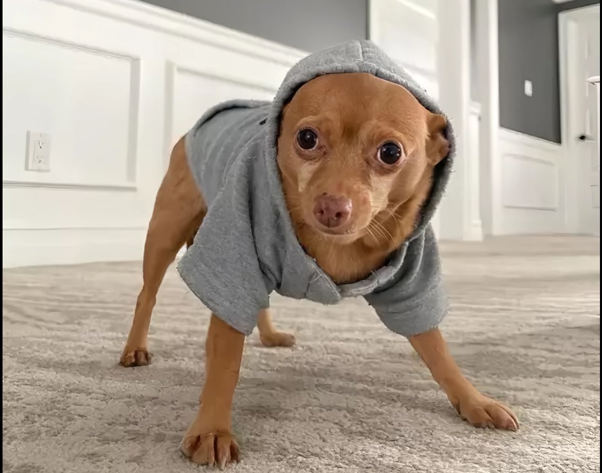 Viktor Benson tweet media