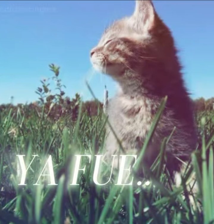 𝖗𝖆𝖒𝖎_ (@_rami44) on Twitter photo 