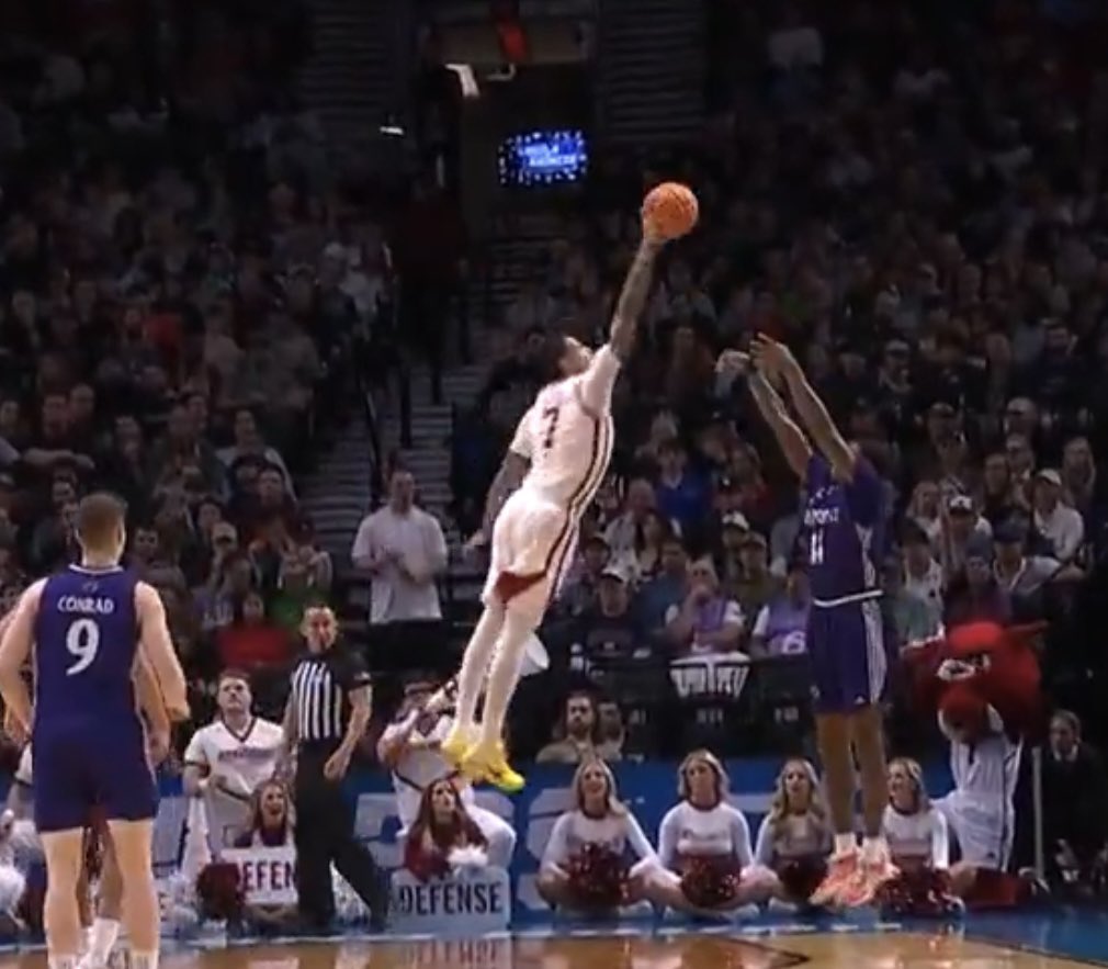 Hog Pics That Go Hard tweet media