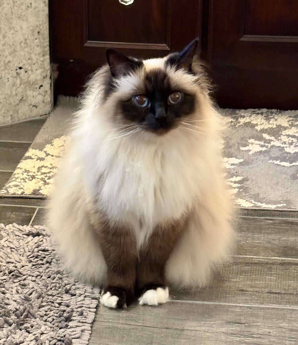 Elizabeth Griffith tweet media