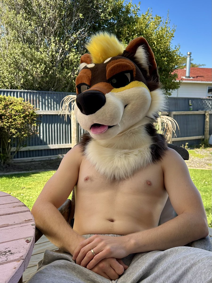 Bowie 🔜 FurDU tweet media