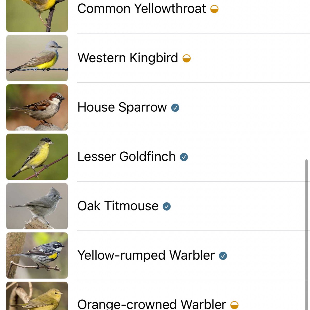 hannaH 🐦‍⬛✖️✖️ tweet media