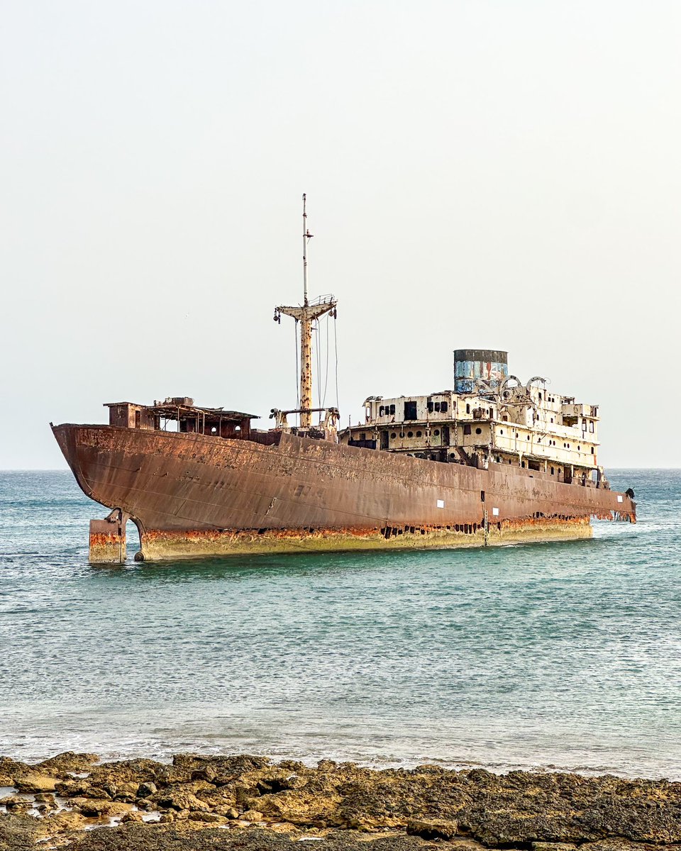 Meraviglia tweet media