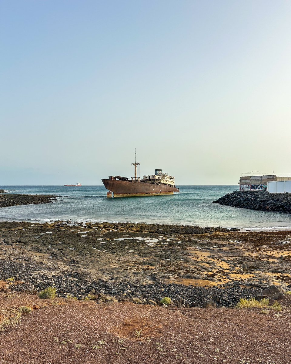 Meraviglia tweet media