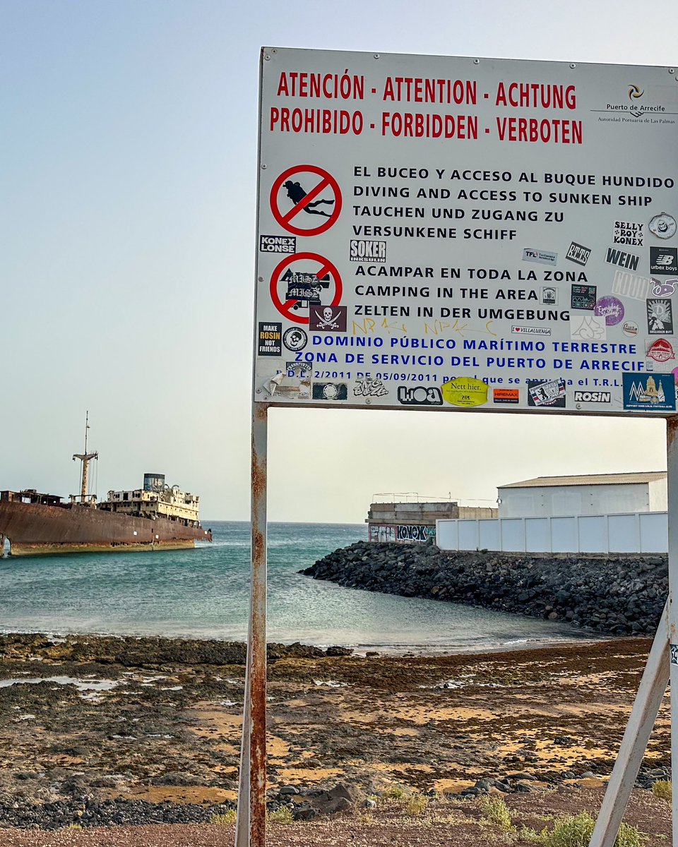 Meraviglia tweet media