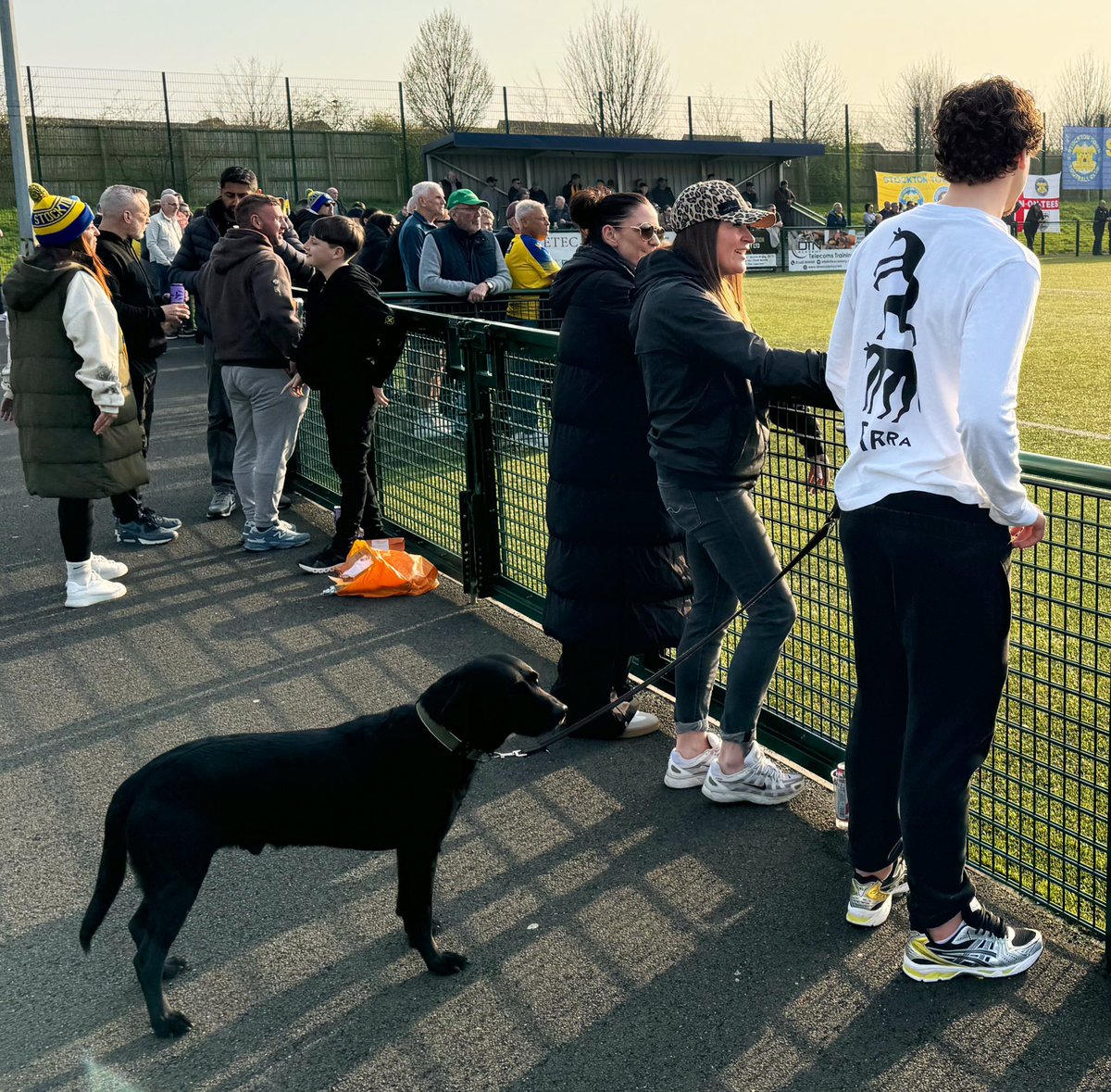 nonleaguedogs tweet media