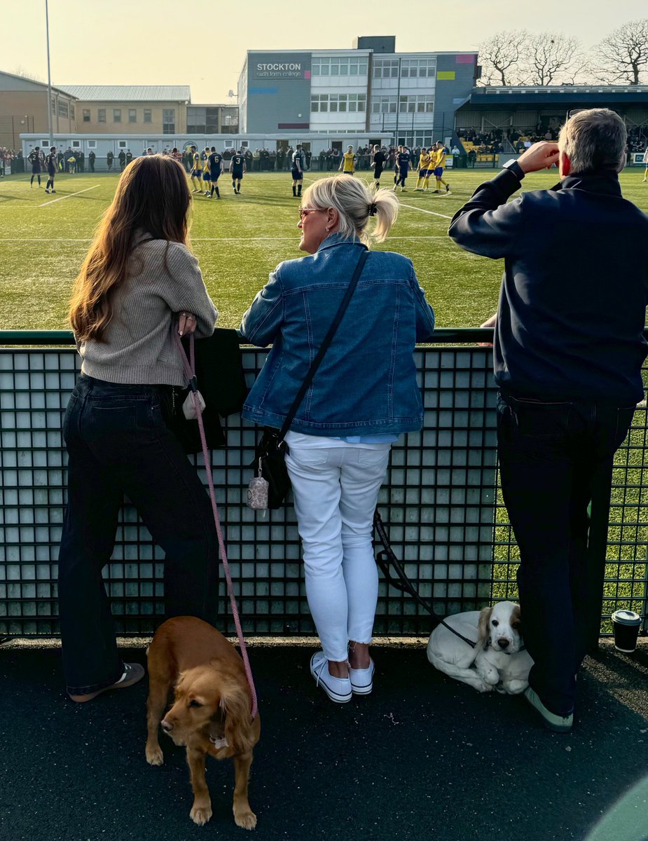 nonleaguedogs tweet media