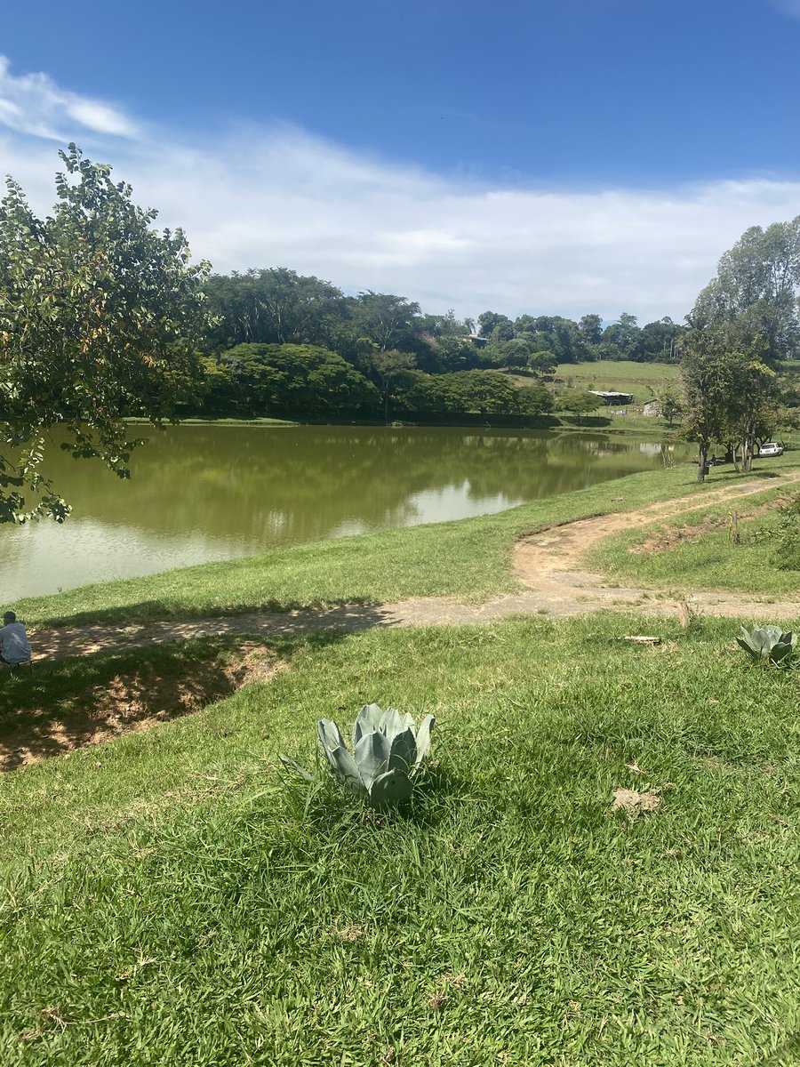 Hamza Al khwaga | حمزه الخواجه tweet media