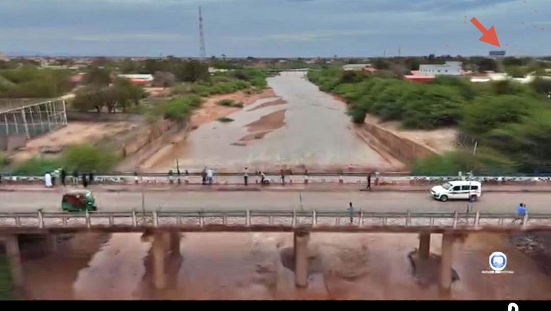 Celgoni🧢 tweet media