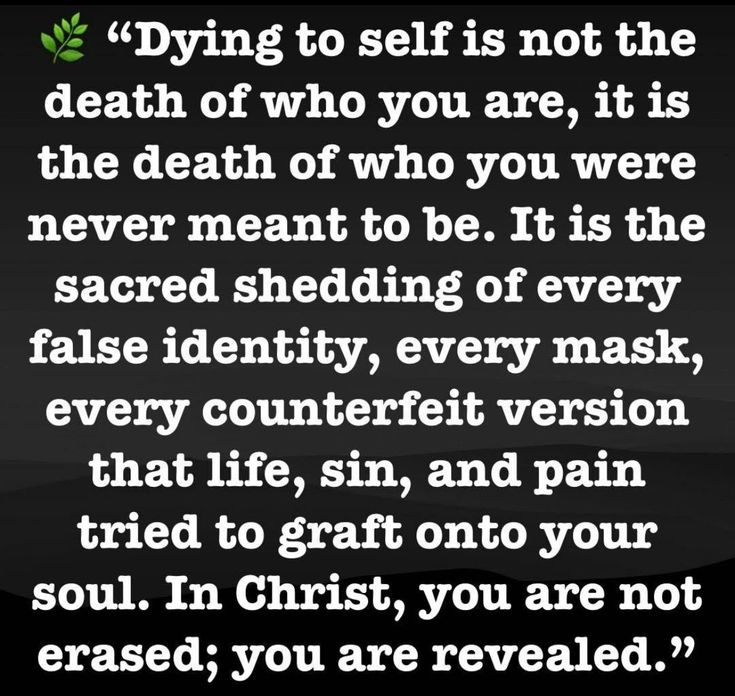 𝔇𝔞𝔫𝔦𝔢𝔩 𝚟𝚜 𝔅𝔞𝔟𝔶𝔩𝔬𝔫 tweet media