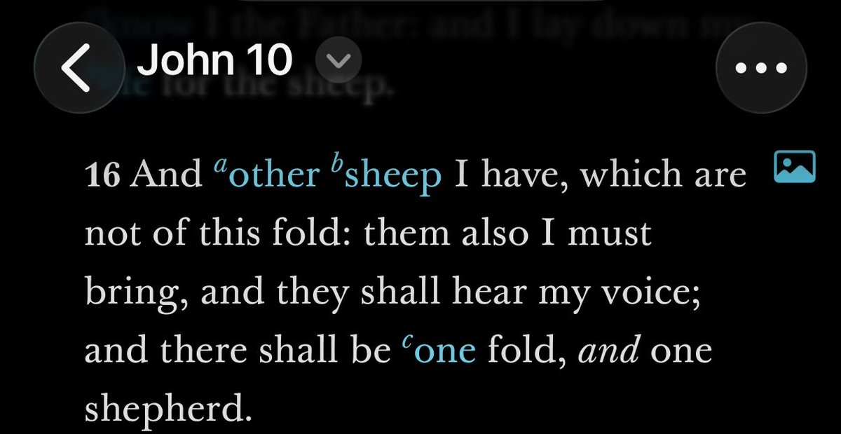 tyler hogge tweet media