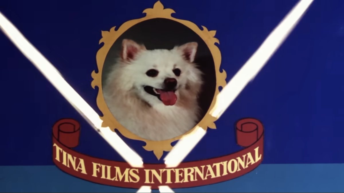 Tusshar Sasi tweet media