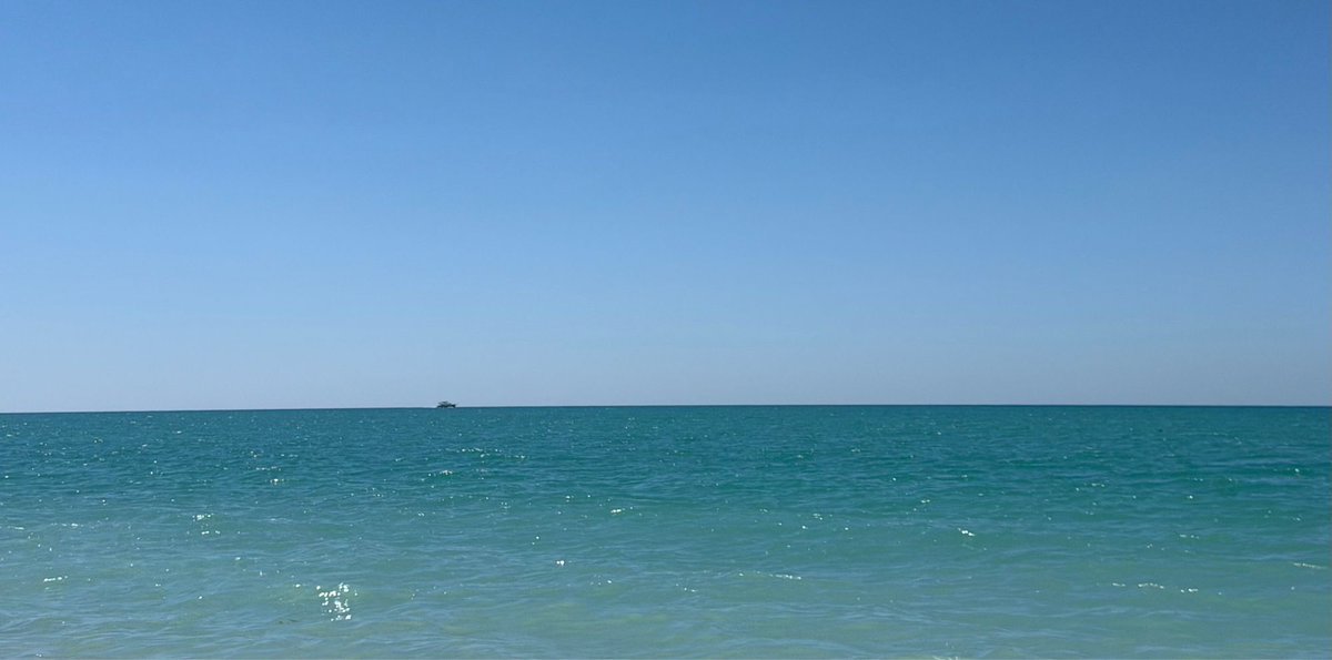 Dan Burkland tweet media