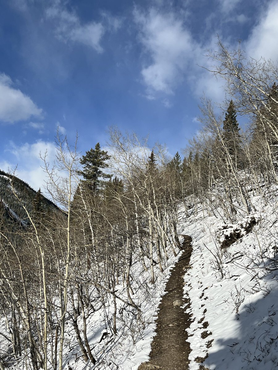 michelle d tweet media