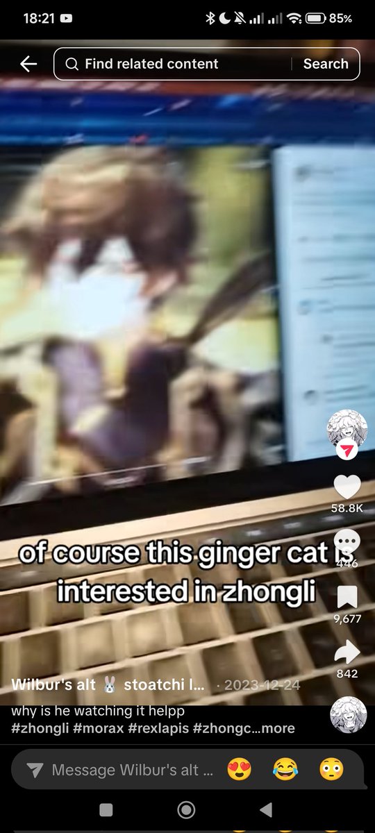 Wilbur¹² tweet media