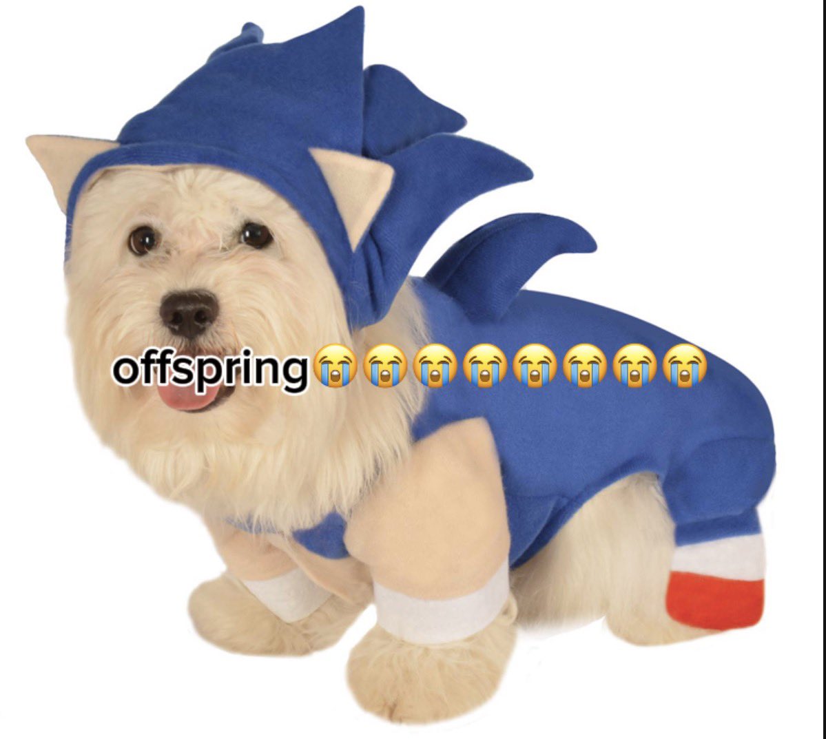 JOYRIDE.💚 tweet media