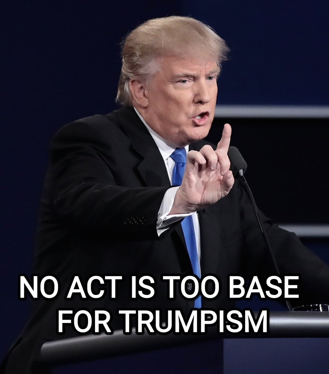 Plotnik Fil tweet media