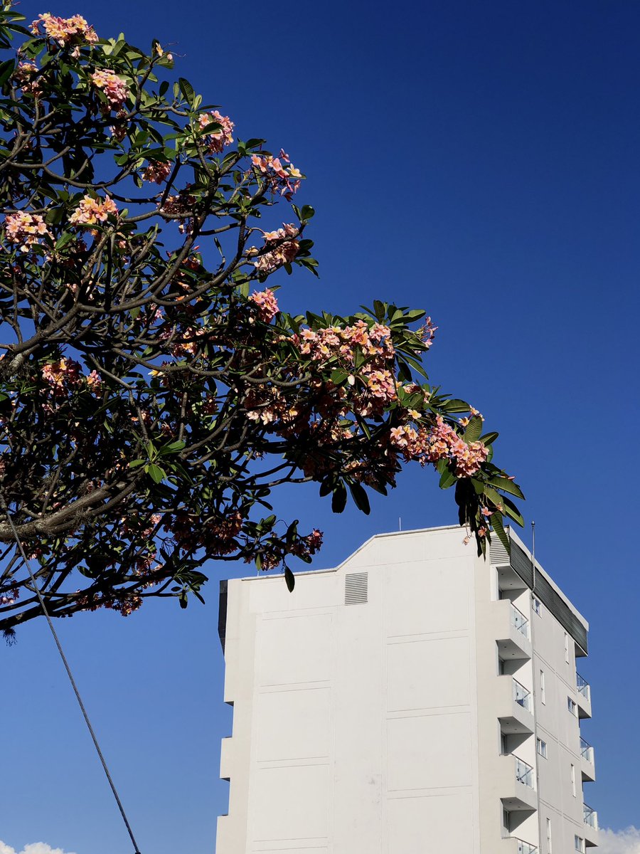 Laura Valentina tweet media