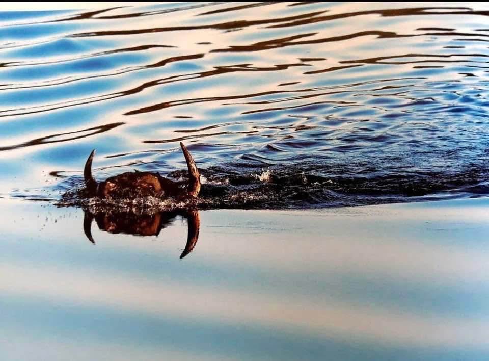 alejandra carvajal glez tweet media