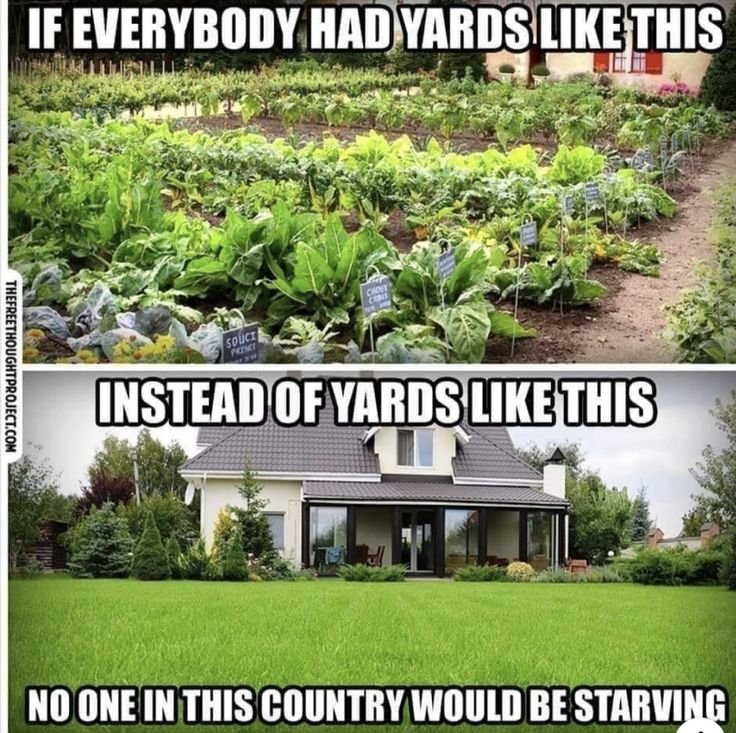 Mountain Cabins tweet media