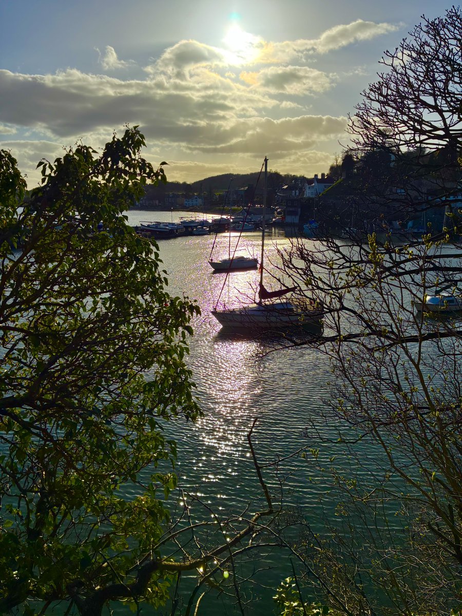 JP Morrison tweet media