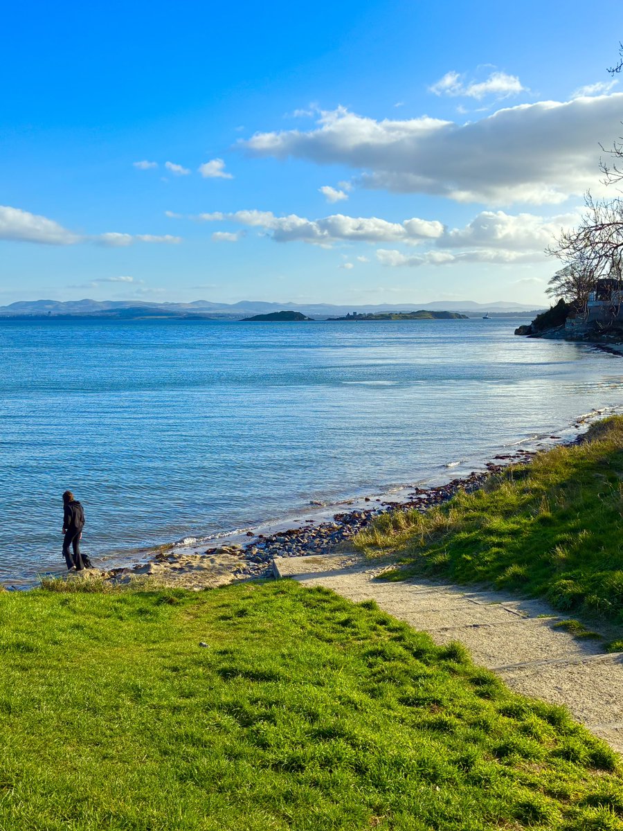 JP Morrison tweet media