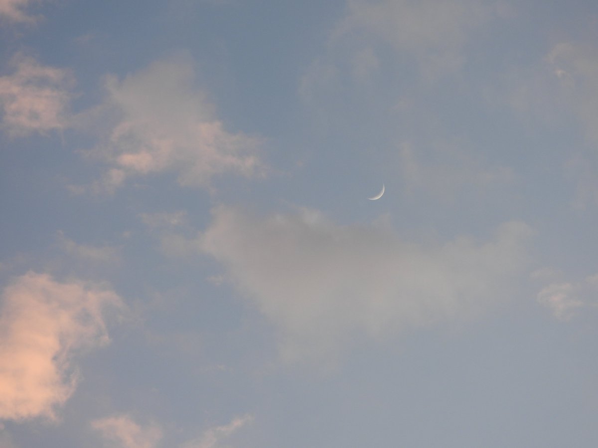 Anjuschka Prenzel tweet media