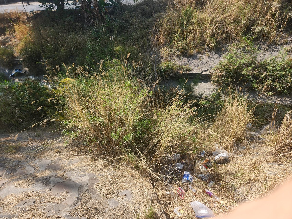 MarshGdl's tweet photo. Se solicitó desde 14 de noviembre 2025 oficio 2 entregado en oficialía de partes de @siapagdl @PabloLemusN @JuanJoseFrangie tiene décadas que no se hace saneamiento y desasolve del río atemajac desde plaza patria hasta enrique diaz de león. Folio 029315 https://t.co/qf1iKHtxlP