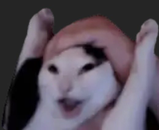 💝JesseSweetheart💝 tweet media