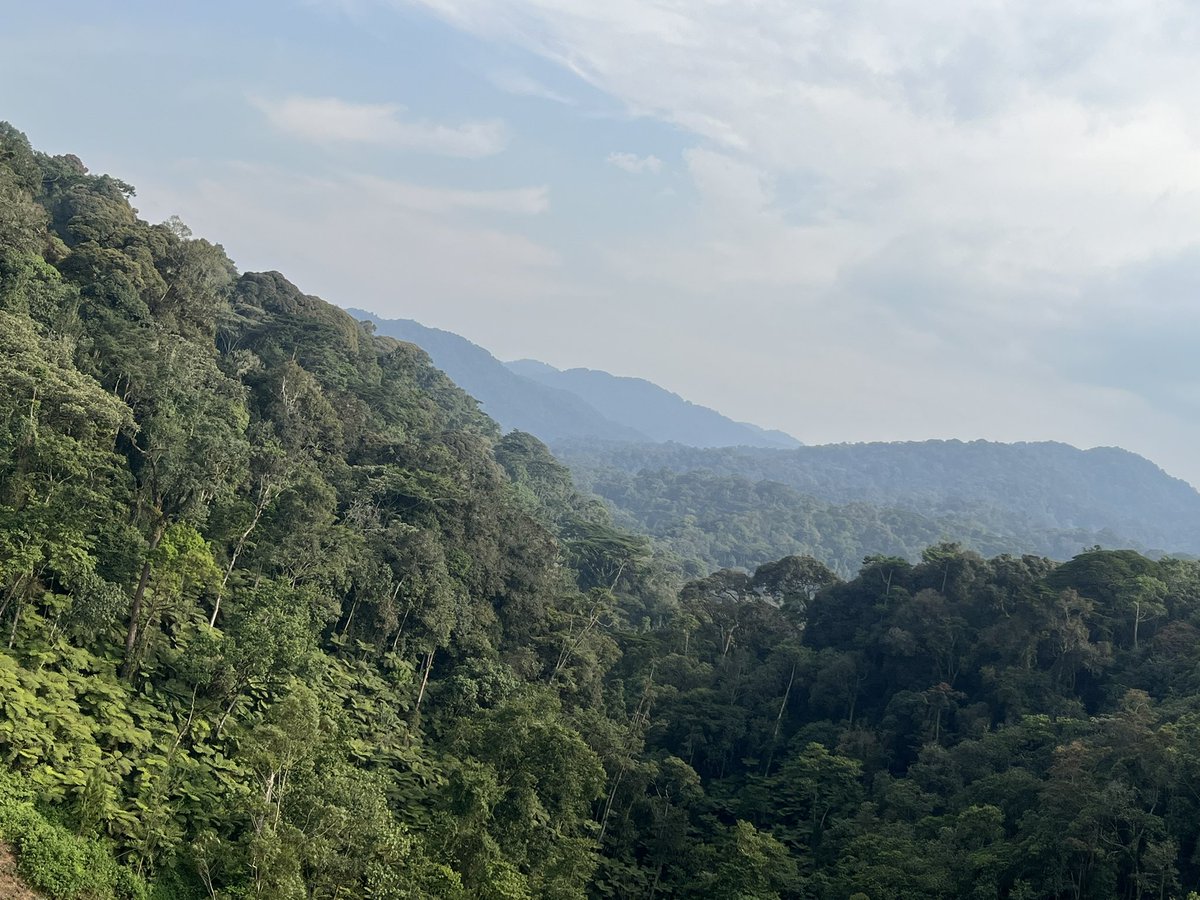 Aspollo Atuheire tweet media