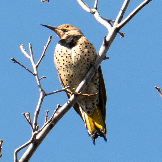 Jil Rafman tweet media