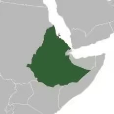 Prince Alemayehu tweet media