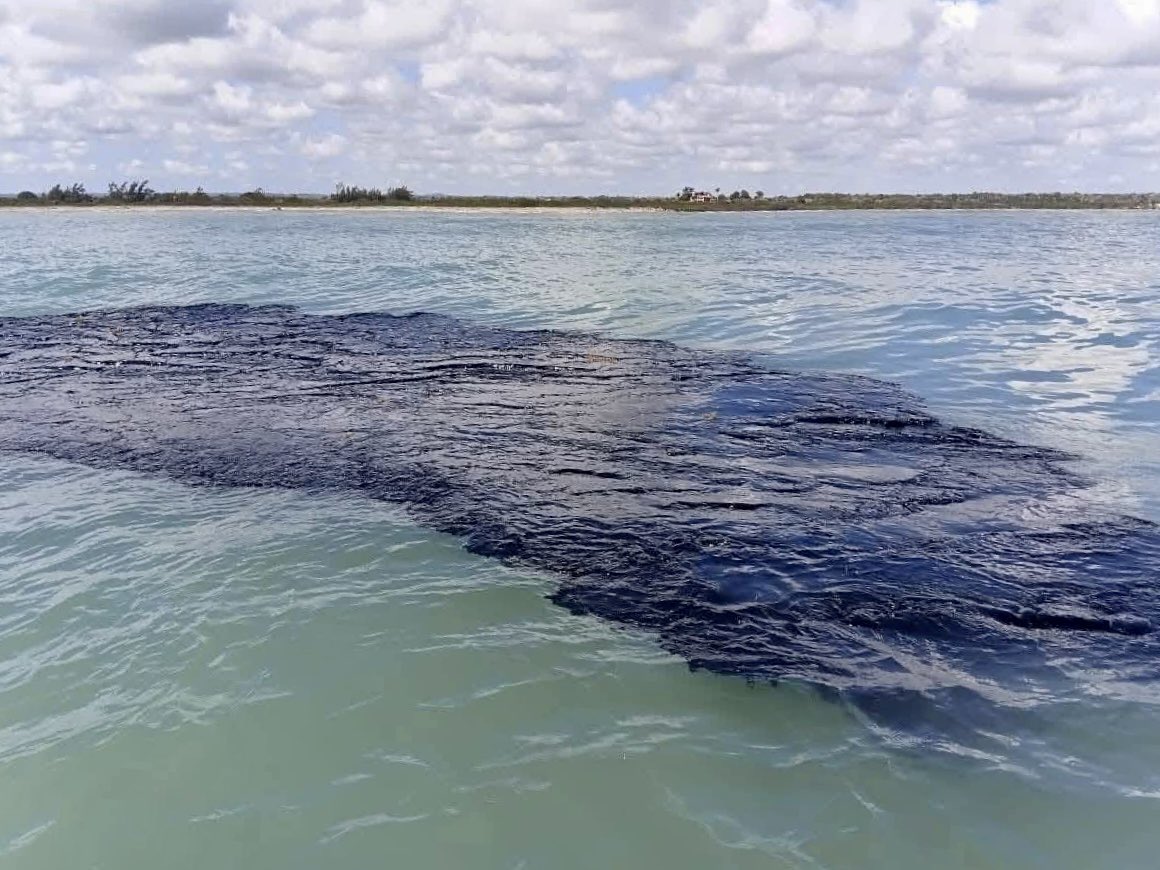 Félix Márquez tweet media