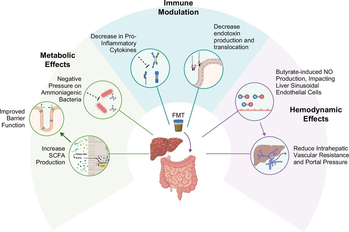 Elliot Tapper tweet media