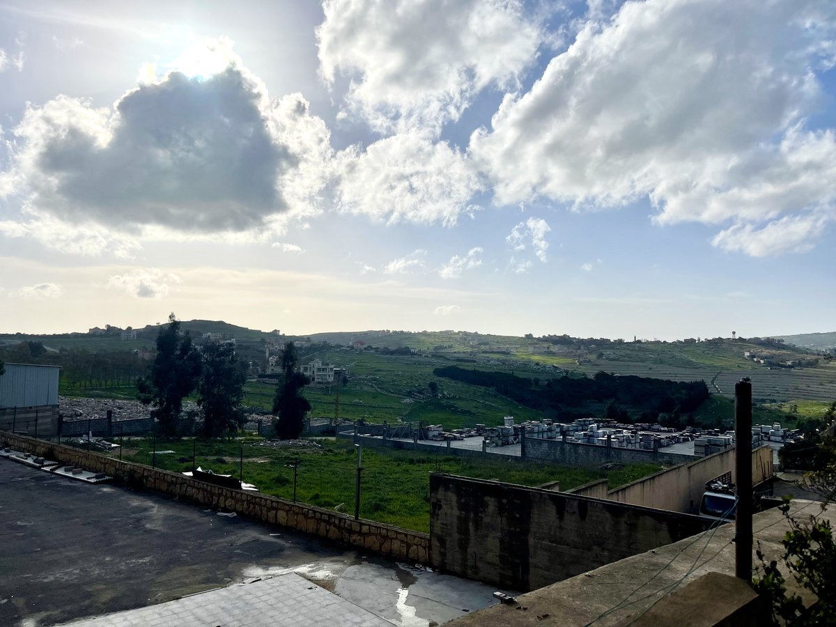 Ali Bashir tweet media