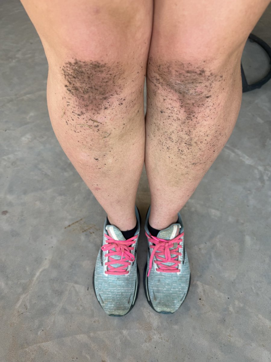 Ms. Eclectic tweet media