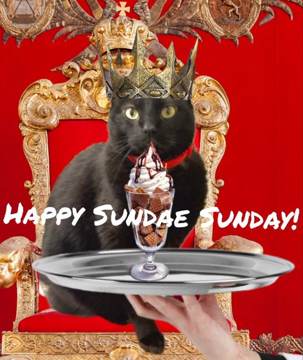 Johnny Speed 🟧 tweet media