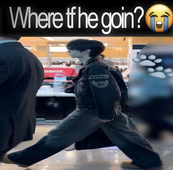 notsosoft YUL DAY 🎂🎉 tweet media