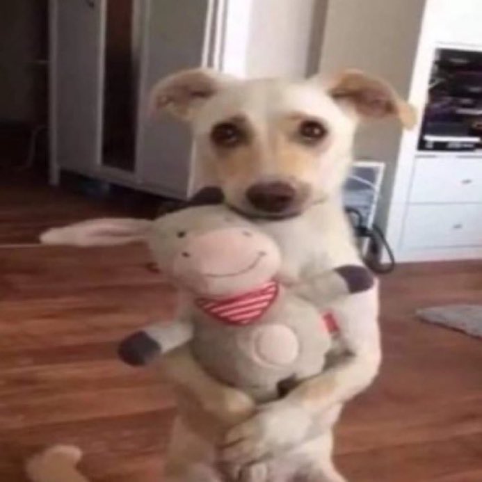 emi 🐁✨ comissões abertas tweet media