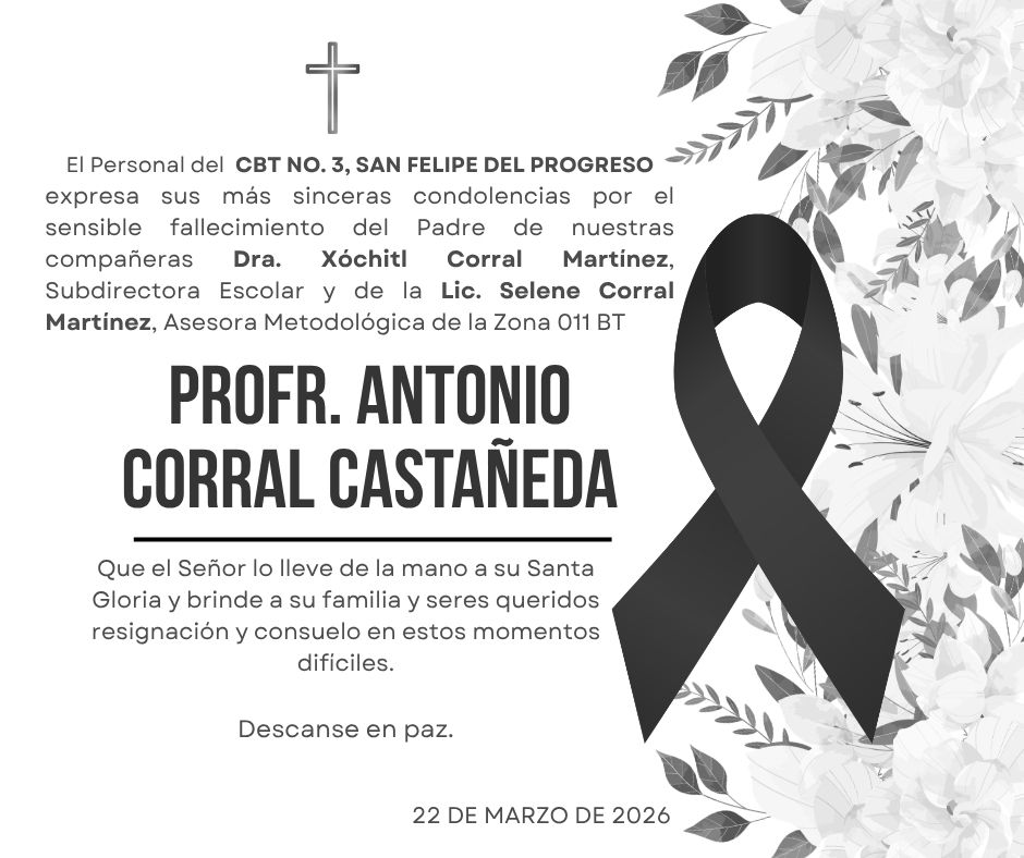 CbtTresSFP's tweet photo. https://t.co/kBAIy0tQxR