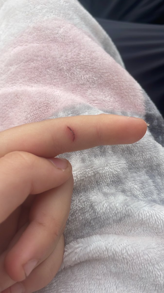 𝐀𝐑𝐀𝐁𝐄𝐋𝐋𝐀 | #𝐬𝐡𝐞𝐝𝐭𝐰𝐭 tweet media