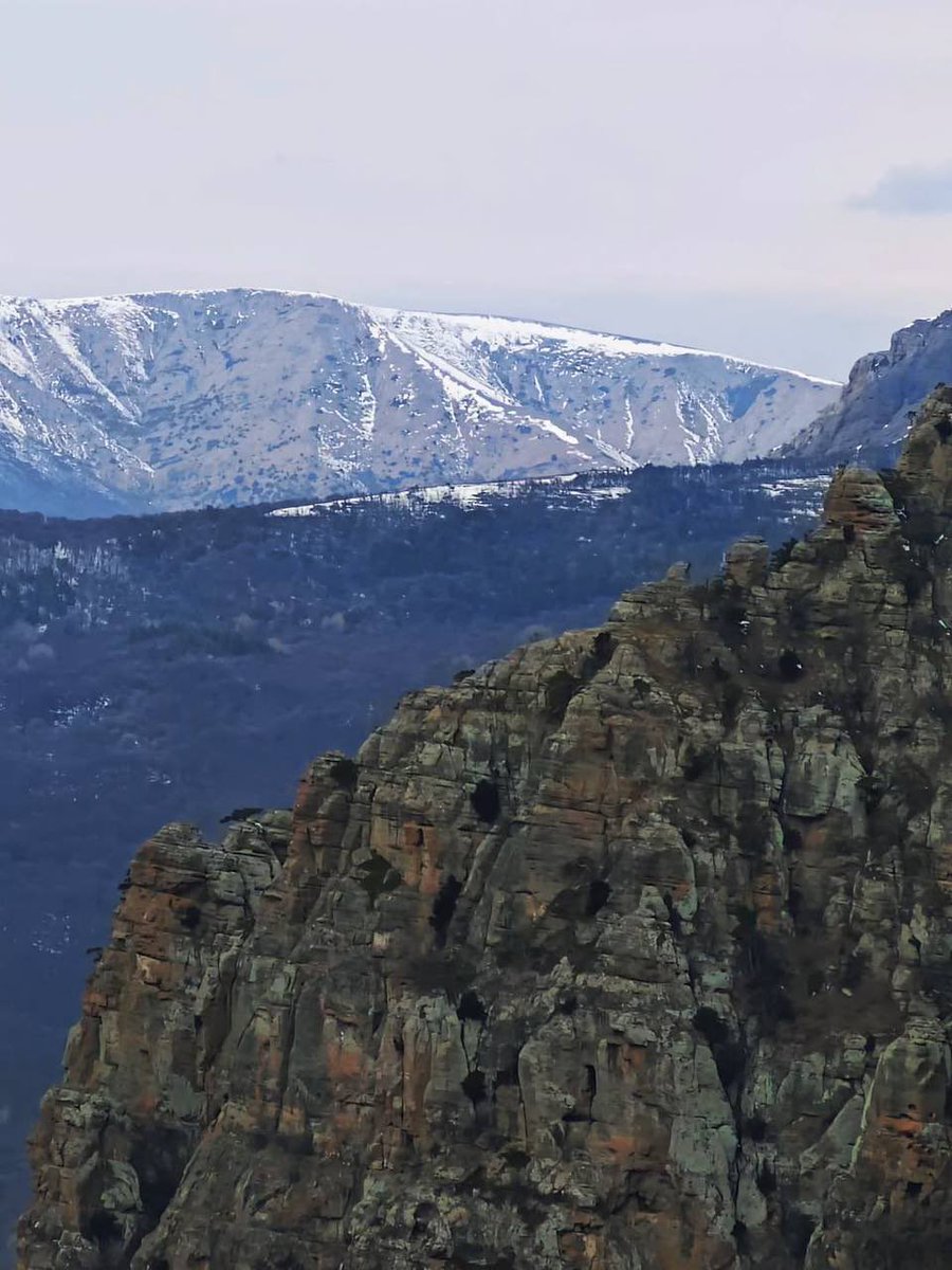 смт.Гурзуф tweet media