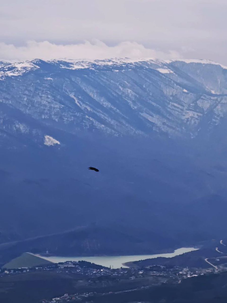 смт.Гурзуф tweet media