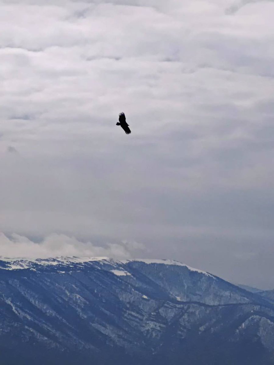 смт.Гурзуф tweet media