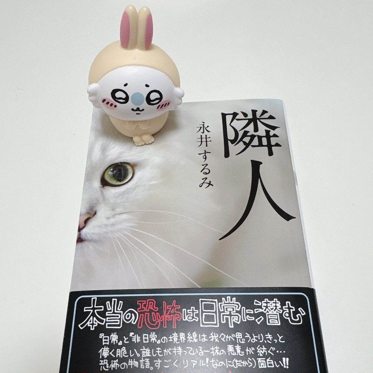 ぴょん tweet media