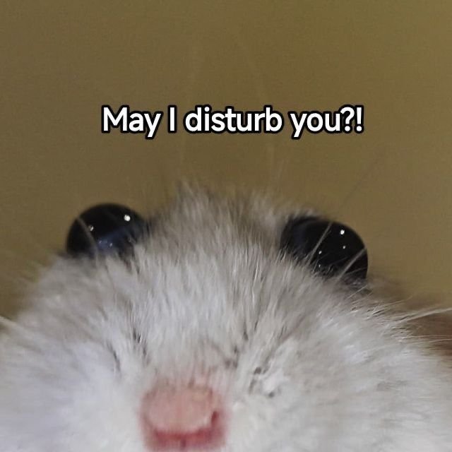 Van 😈🕯️| _AFKOnline_ tweet media